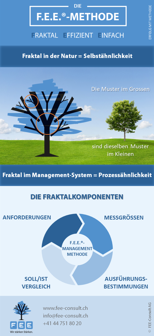 Infographic-QM-System-Fraktal-effizient-einfach